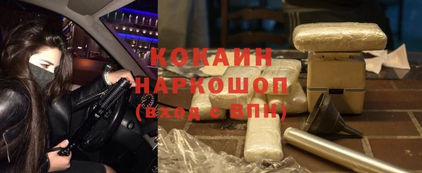 сатива Михайловка