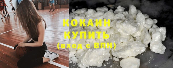 хмурый Михайловск