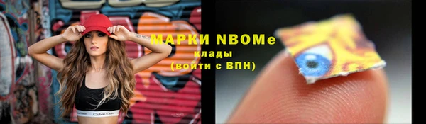 сатива Михайловка