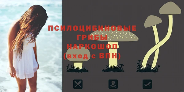 сатива Михайловка