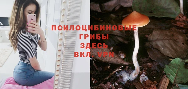 сатива Михайловка