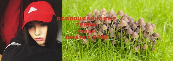 хмурый Михайловск