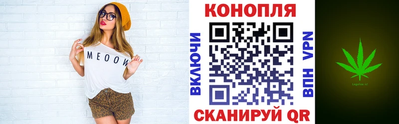 Бошки Шишки конопля  Купить  Омск 